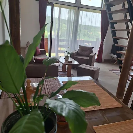 Brvnara Beni Σαλέ Vrdnik